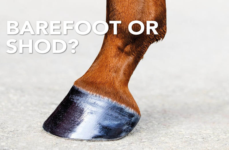 Barefoot or Shod?